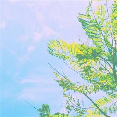 幸运彩票app下载