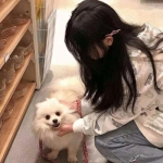 49图库一资料中心app下载